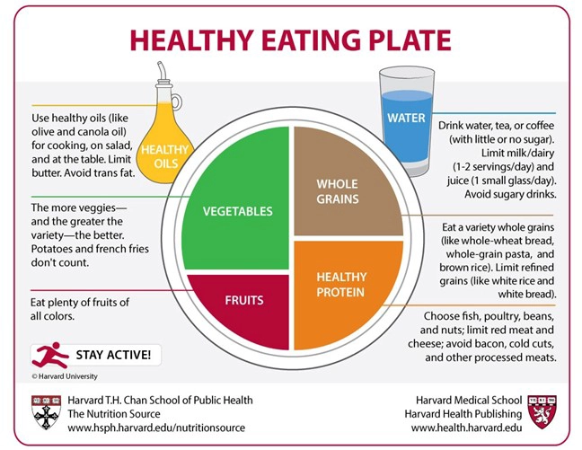Chiropractic Morgan Hill CA Healthy Eating Plate